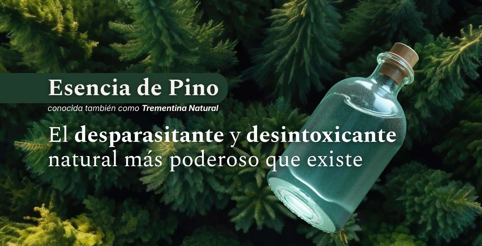 El desparasitante y desintoxicante natural mas poderoso que existe en Argentina
