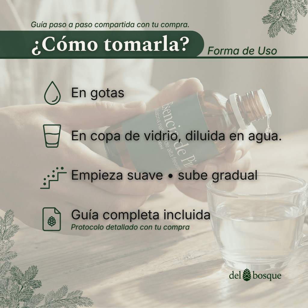 como-tomar-esencia-de-pino-gotas-copa-vidrio-del-bosque argentina6