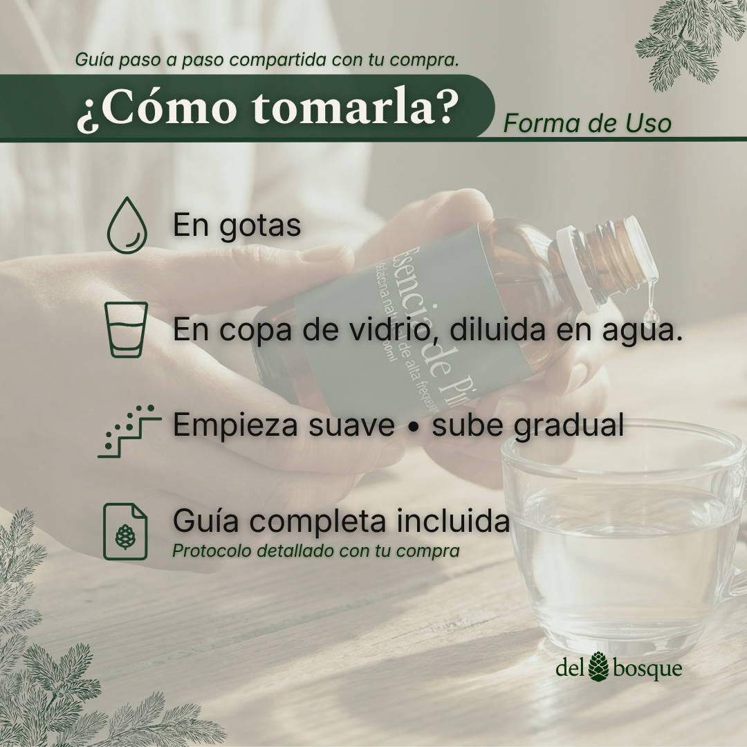 como-tomar-esencia-de-pino-gotas-copa-vidrio-del-bosque argentina6