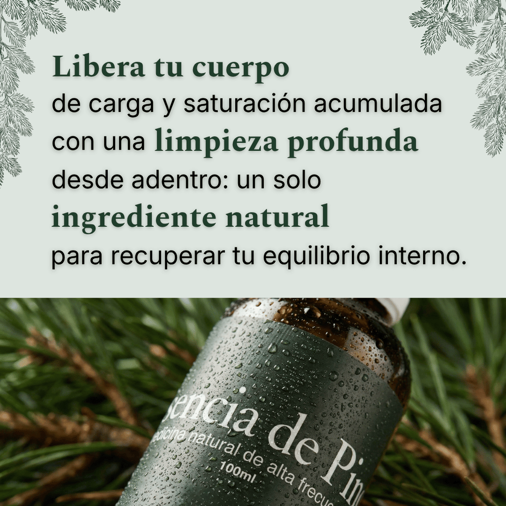 depuracion-carga-moderna-esencia-de-pino-metales-microplasticos-del-bosque argentina