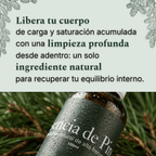 depuracion-carga-moderna-esencia-de-pino-metales-microplasticos-del-bosque argentina
