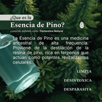 que-es-esencia-de-pino-trementina-natural-del-bosque-argentina